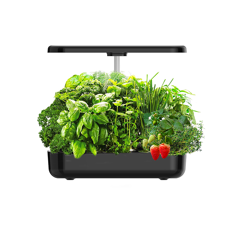12 vagens hidropônico intelige - Smart Pod Garden avaliação e preço