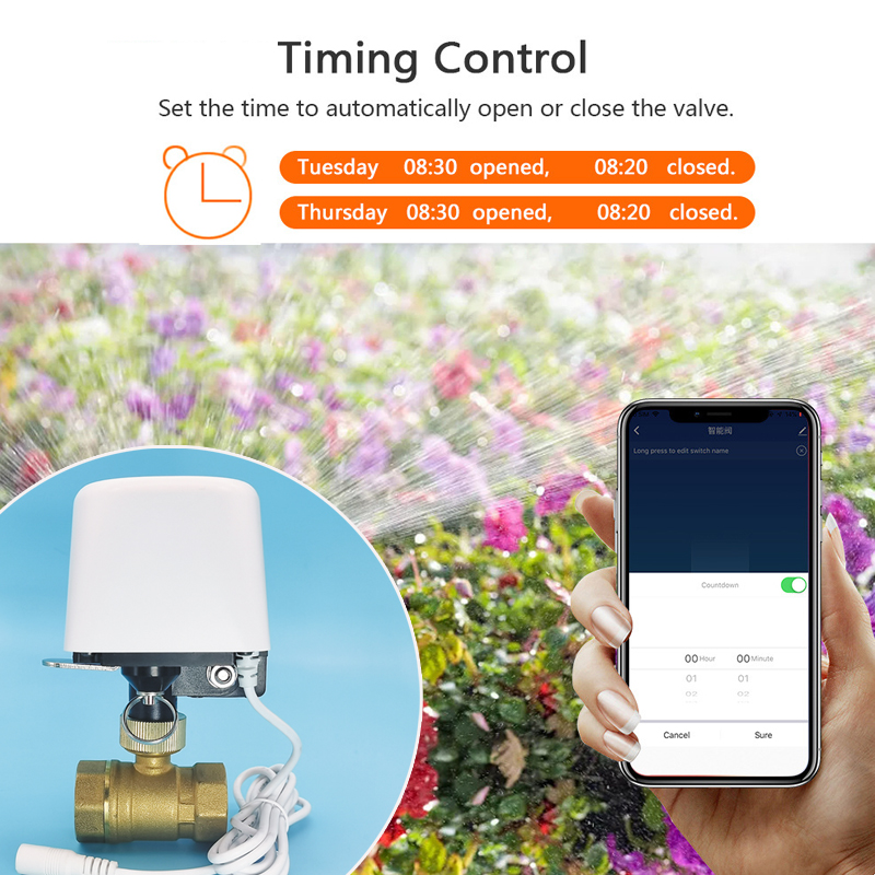 Válvula de Água Tuya Zigbee Wi - Smart Garden Hose Timer avaliação e preço