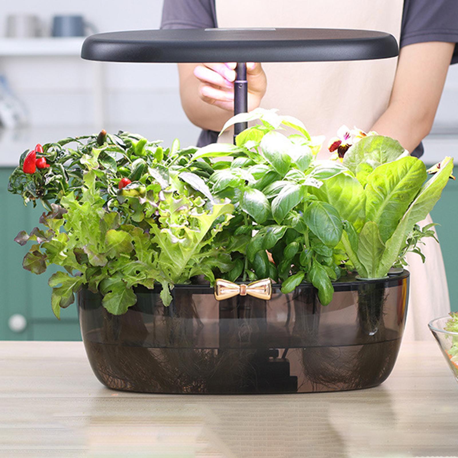Máquina de cultivo hidropônico - Smart Pod Garden avaliação e preço