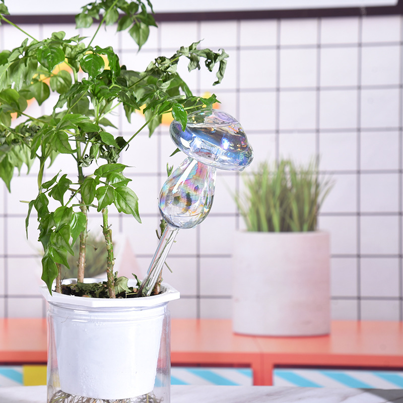 1/2 pçs palha de vidro automát - Yoocaa Smart Garden avaliação e preço