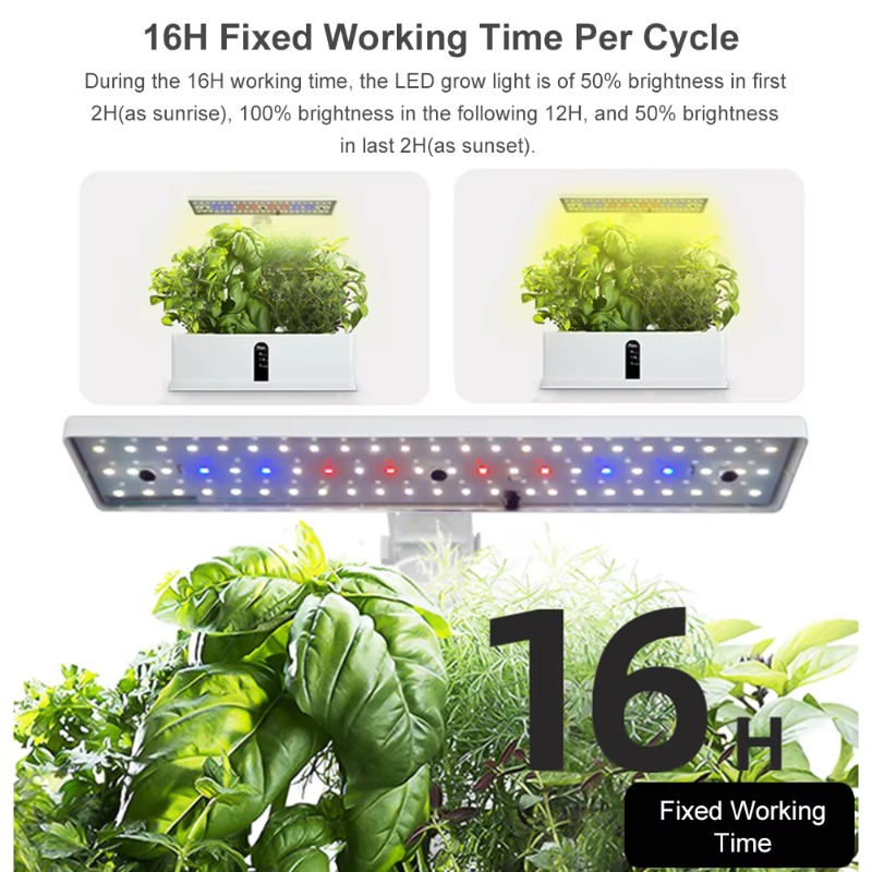Sistema de Cultivo Hidropônico - Smart Pod Garden avaliação e preço