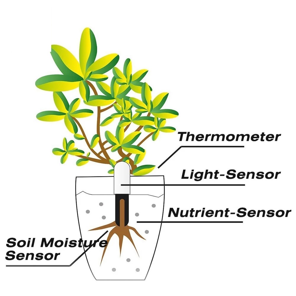 Hhcc flor monitor flora jardim - Smart Garden Water avaliação e preço