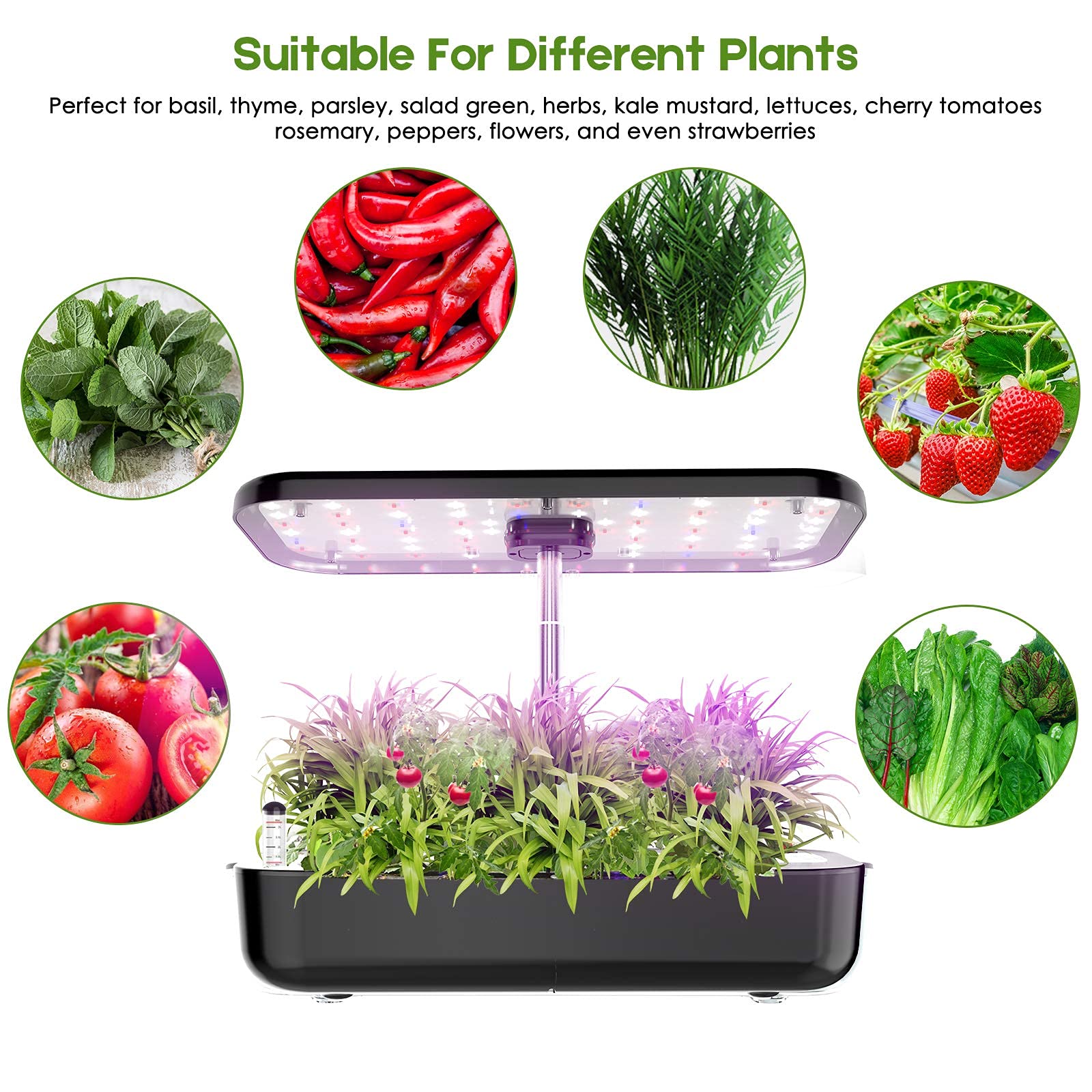 Hidroponia sistema de cultivo  - Smart Pod Garden avaliação e preço